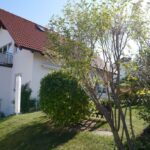 14478-lang1#P1000372