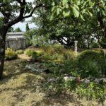 Garten_4