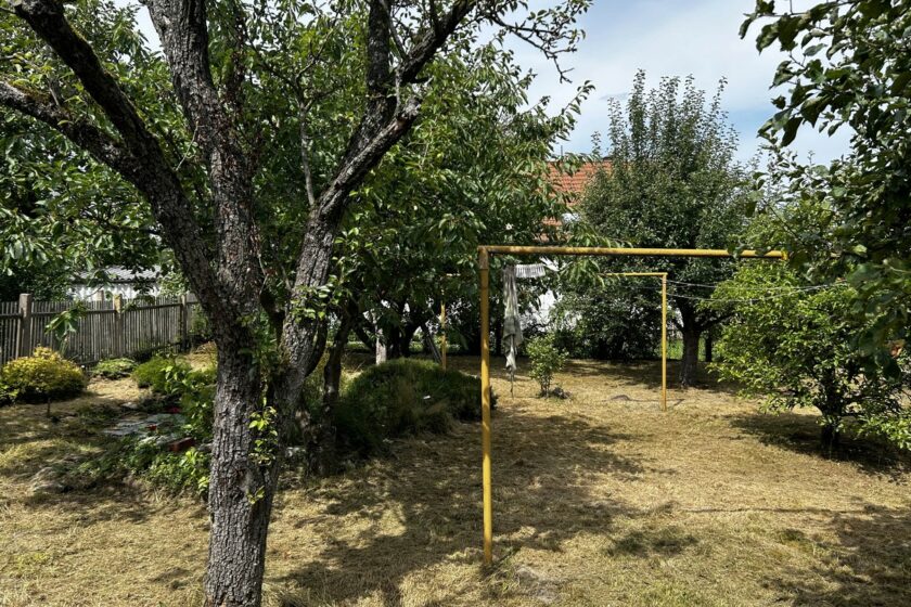 Garten_5