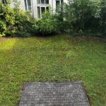 Garten_1