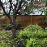 Garten_3