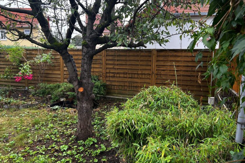Garten_3